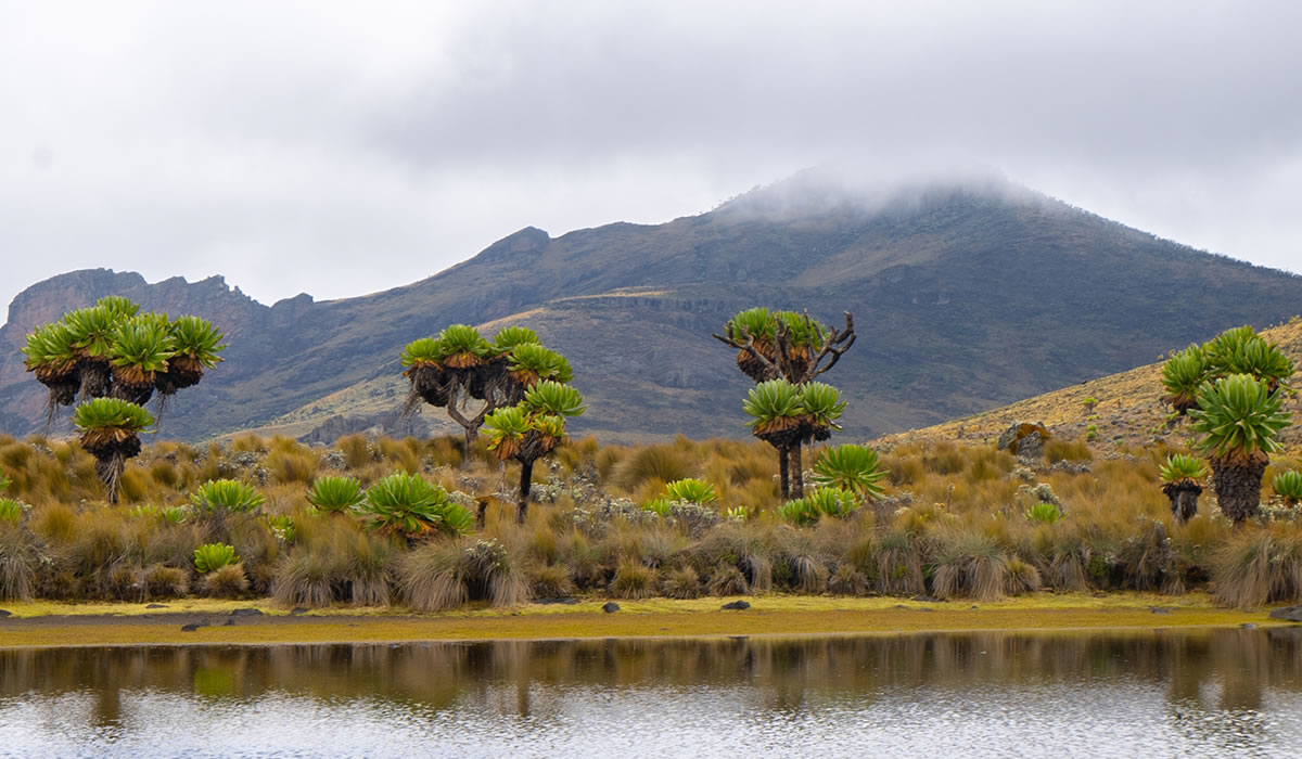 Mount Elgon National Park